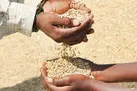 جهان گرسنه‌تر می‌شود