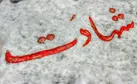 بر سر مزار من، جوان ناکام ننویسید