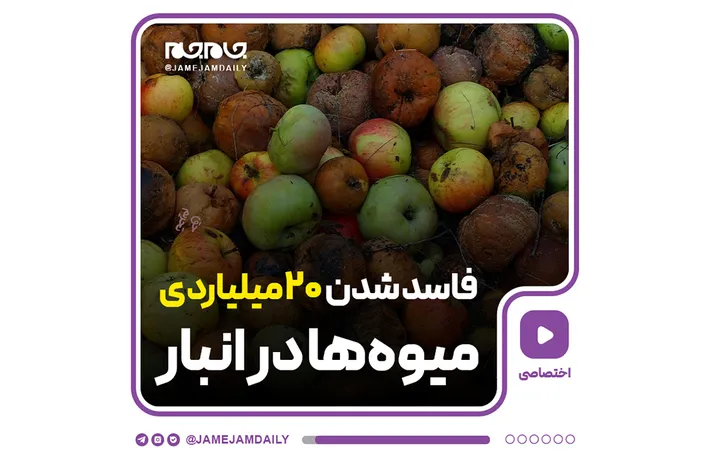 ماجرای فاسدشدن ۲۰ میلیاردی میوه‌ها در انبار