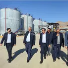هم افزایی بخش دولتی و خصوصی در دستور کار است