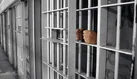 آزادی ۵ نفر از صیادان ایرانی در سیشل