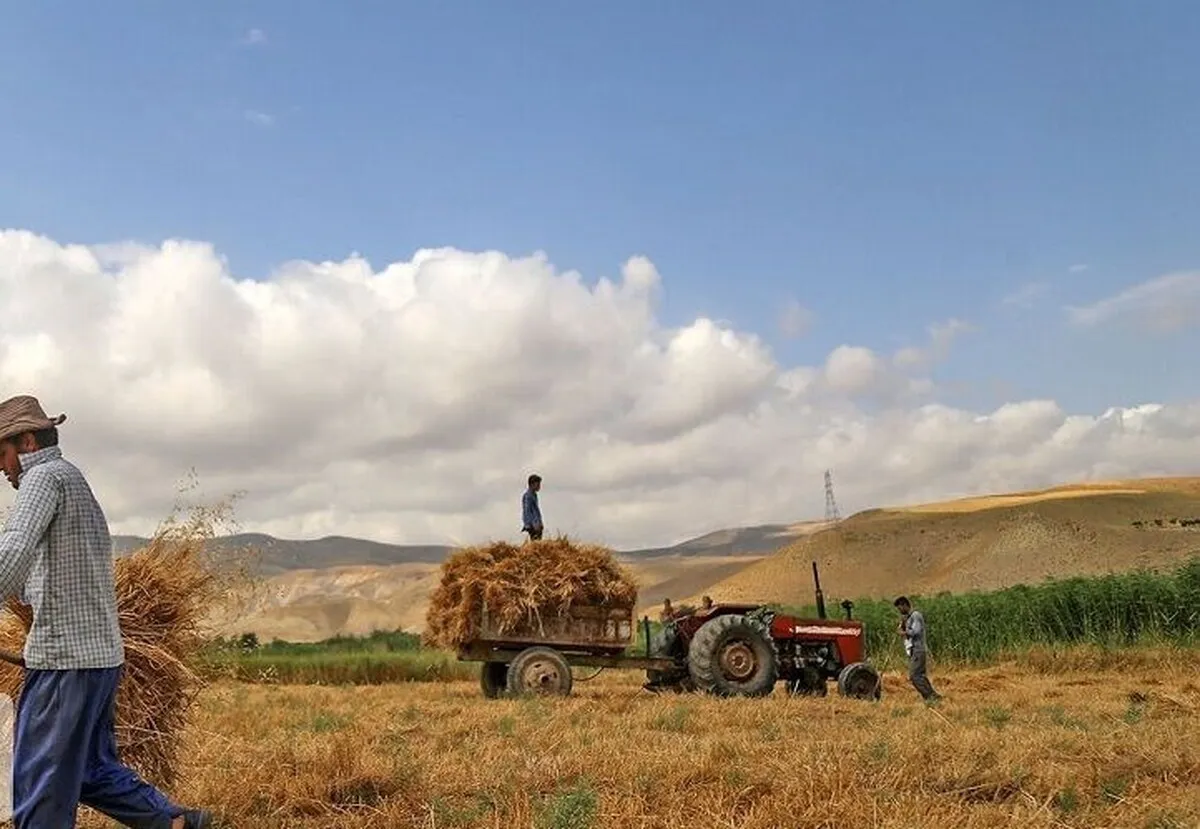توسعه روستا‌های فارس زیر چتر تعاونی‌ها