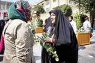 شیپور دروغ علیه حجاب