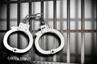 کشف ۴۸ راس دام سرقتی در خراسان شمالی
