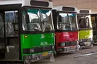 واردات اتوبوس و مینی‌بوس در دستور کار نیست