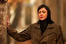 اسیر چرخه تکرار اشتباهات گذشته
