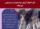 انبار احتکار آبزيان حرام گوشت  در بندرعباس کشف شد