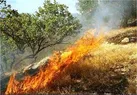 هشدار! آتش در‌کمین محیط زیست استان