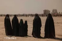گزارش تصویری | تعزیه در کربلا