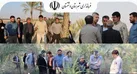 بازدید فرماندار دشتستان از نخیلات