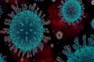 بیش از 7 هزار فوتی در یک شبانه روز