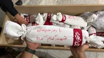 ببینید| «اشک میناب» منتشر شد