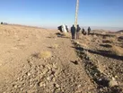 واژگونی وانت کاپرا يک کشته برجای گذاشت 
