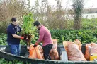 نفوذی‌ های محیط‌ زیست