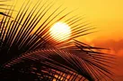 پیش بینی افزایش دما در خوزستان