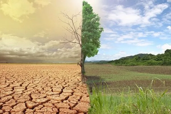جنگل‌ها قبل و بیابان‌ها  بعد از انسان‌ها متولد شدند