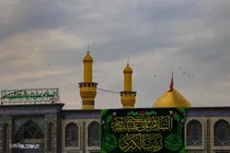 گزارش تصویری | کربلا در ایام ولادت حضرت زینب (س)
