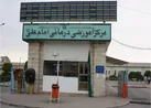 تولد چهارقلوها در هفته نخست بهار 1400