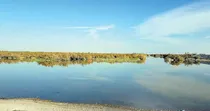 جازموریان هنوز تشنه است
