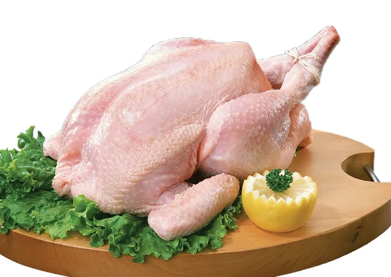 جوجه‌ها را آخر زمستان بشمارید!