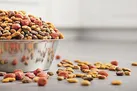 ارزی که به‌جای دارو صرف واردات غذای سگ و گربه شد!