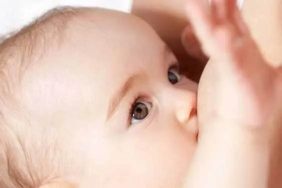 این غذاها شیر مادر را زیاد می‌کند