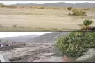 باران تلخ (+عکس)