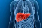 پاکسازی کبد را فراموش نکنید