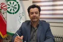 آغاز واریز یارانه‌های نقدی کودهای فسفاته و پتاسه به حساب کشاورزان همدانی