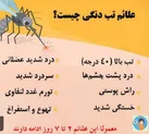 شناسایی ۸۳۴ بیمار مبتلا به تب دنگی در چابهار
