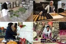 اختصاص بیش از ۴۵ میلیارد تومان تسهیلات به مشاغل خانگی در خراسان شمالی