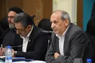 عشایر، ظرفیت راهبردی در امنیت غذایی کشور هستند