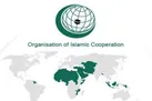 واکنش سازمان همکاری اسلامی به حمله رژیم صهیونیستی به کشتی مادلین