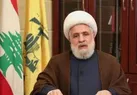 شیخ نعیم قاسم: مقاومت آماده عملیات بی‌حد و مرز است