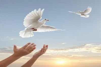 آزادی ۸۹ زندانی جرائم غیر عمد یزدی از ابتدای سال