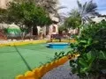 پخش برنامه تلویزیونی شونشینی