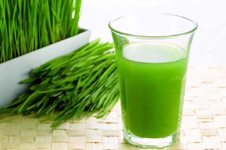 ۱۷ خاصیت شگفت انگیز آب سبزه گندم