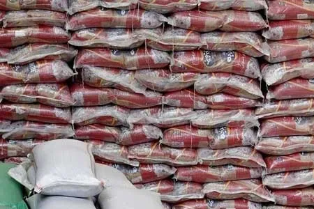 بلاتکلیفی 15 هزار تن برنج در گمرک / وزارتخانه‌های مسئول تصمیم نمی‌گیرند