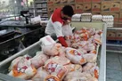 فروش مرغ بالاتر از ۸۵ هزار تومان در همدان مصداق گرانفروشی است