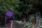 رگبار و رعد و برق در پایتخت | کاهش نسبی دما