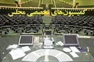 اعضای کمیسیون‌های تخصصی مجلس دوازدهم مشخص شدند