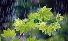 منتظر رگبار و باران باشید