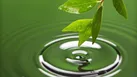 آهنگ زندگی