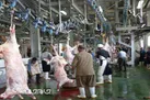 کشتار دام در کشتارگاه های استان از افزایش بیماریهای مشترک میان دام و انسان جلوگیری می کند