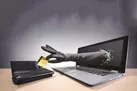 کلاهبرداری با رنگ حراجی‌