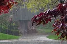 بارش باران در ۱۴ استان / از کوهنوردی خودداری کنید