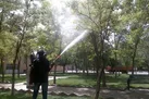 مسیرهای سم‌پاشی ۳۰ فروردین در اصفهان اعلام شد