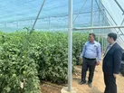 پیگیری توسعه گلخانه های تابع اقلیم و احیای کارخانه خوراک دام در خاتم
