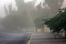 هشدار هواشناسی ورزش باد برای استان تهران