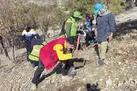 ‌‌فعالان کاغذی محیط‌ زیست